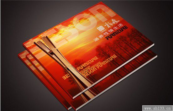 專(zhuān)業(yè)畫(huà)冊(cè)設(shè)計(jì)