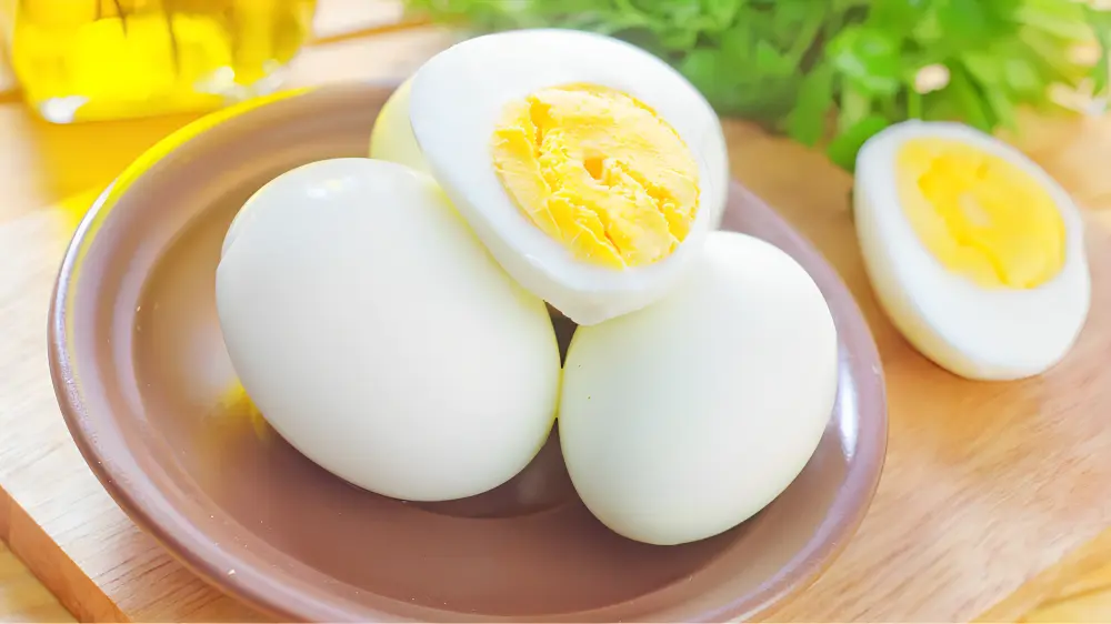 Egg -
