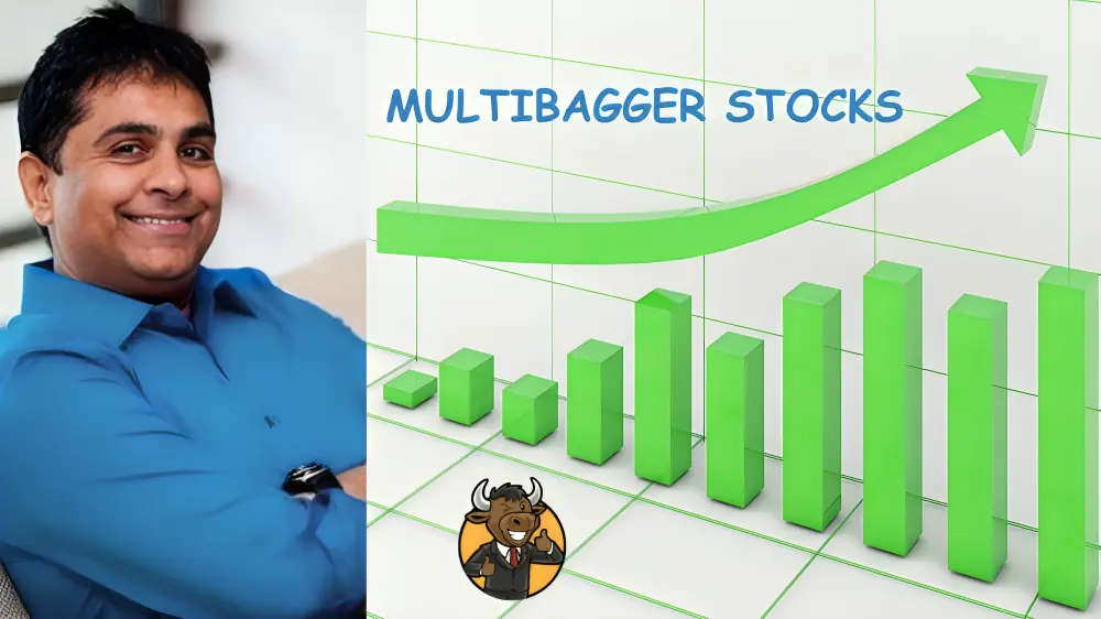 Vijay Kedia Multibagger Stocks