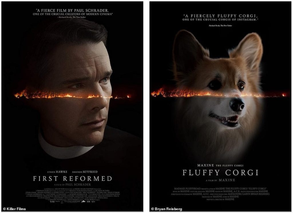 Who ordered a fluffy Corgi in the Oscar movie poster?