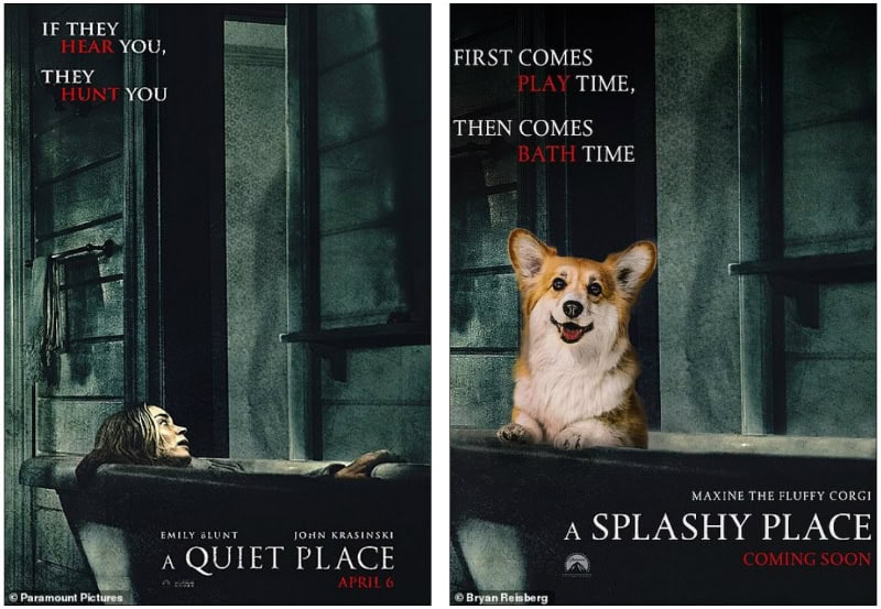 Who ordered a fluffy Corgi in the Oscar movie poster?