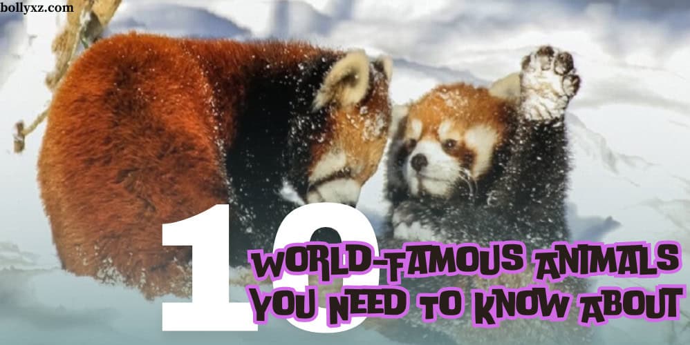 10 World-Famous Animals You Need To Know About