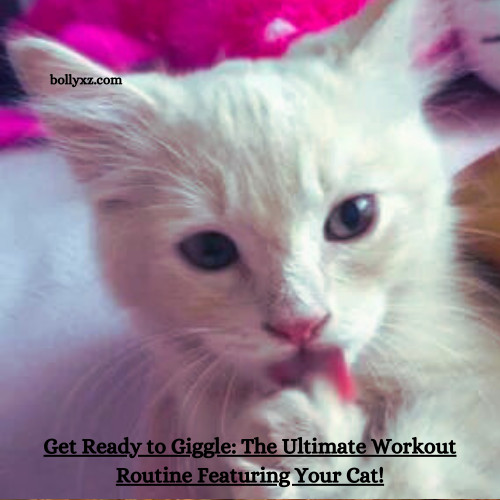 Get Ready to Giggle: The Ultimate Workout Routine Featuring Your Cat!