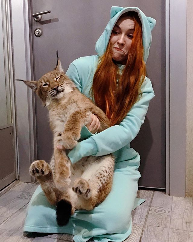 OMG! Russian Girl Adopts Adorable Lynx Kitten, Becomes Overnight Internet Sensation!