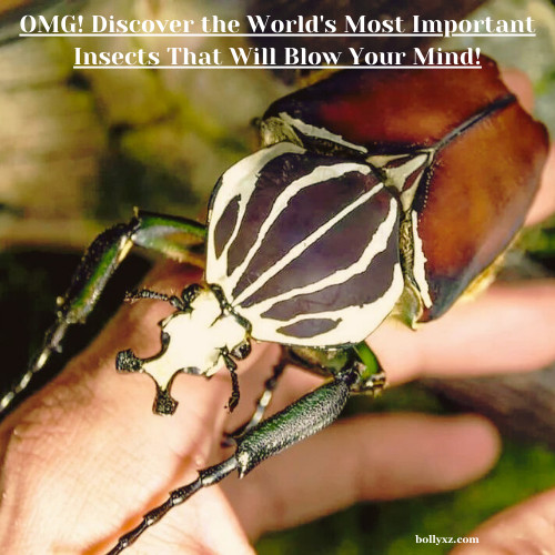 OMG! Discover the World's Most Important Insects That Will Blow Your Mind!