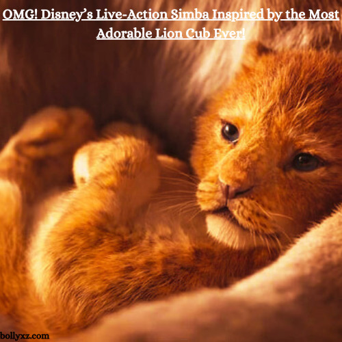 OMG! Disney’s Live-Action Simba is inspired by the most adorable Lion Cub ever!