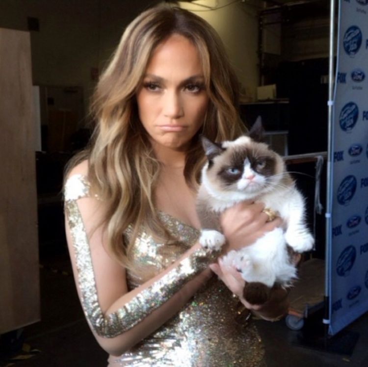 Internet Sensation Grumpy Cat Passes Away at Seven, Leaving Legacy of Feline Fame