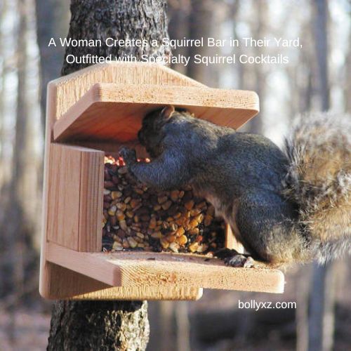 A Woman Creates a Squirrel Bar in Their Yard, Outfitted with Specialty Squirrel Cocktails