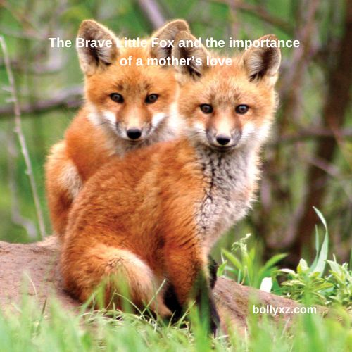 The Brave Little Fox and the importance of a mother’s love