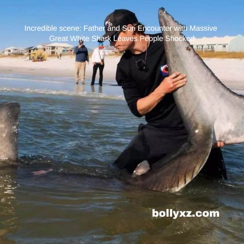 Incredible scene: Father and Son Encounter with Massive Great White Shark Leaves People Shocked