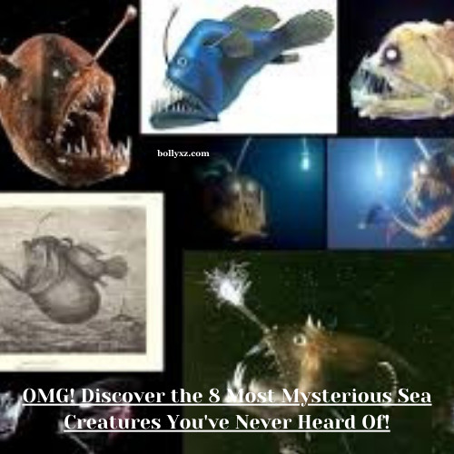 OMG! Discover the 8 Most Mysterious Sea Creatures You've Never Heard Of!