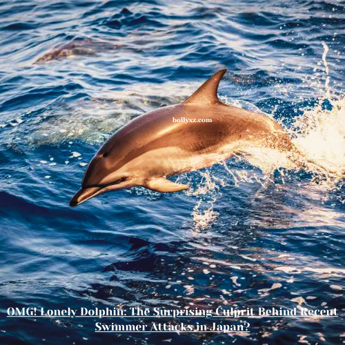 OMG! Lonely Dolphin: The Surprising Culprit Behind Recent Swimmer Attacks in Japan?