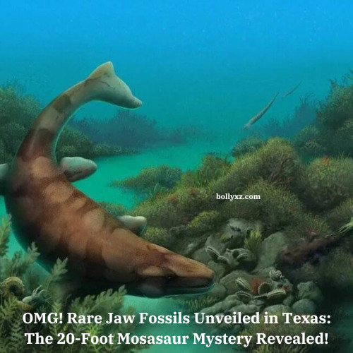 OMG! Rare Jaw Fossils Unveiled in Texas: The 20-Foot Mosasaur Mystery Revealed!