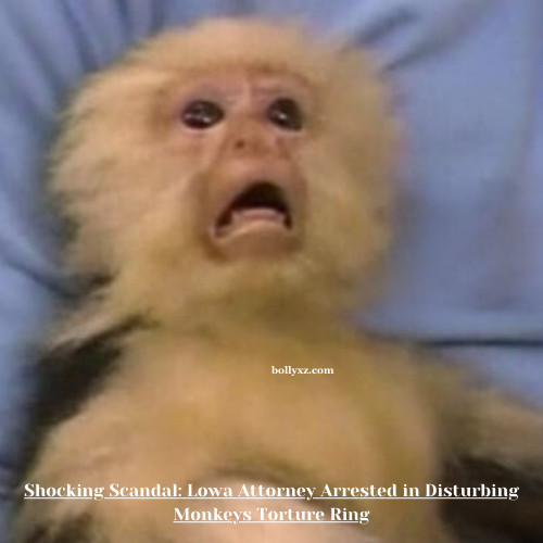 Shocking Scandal: Lowa Attorney Arrested in Disturbing Monkeys Torture Ring