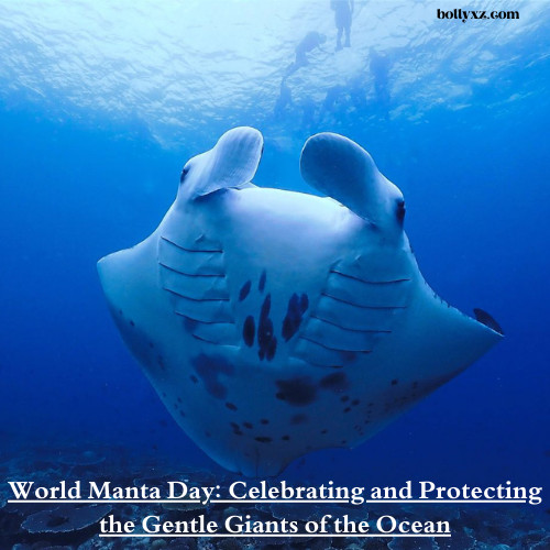 World Manta Day: Celebrating and Protecting the Gentle Giants of the Ocean