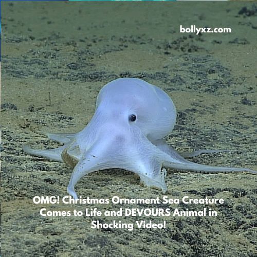 OMG! Christmas Ornament Sea Creature Comes to Life and DEVOURS Animal in Shocking Video!