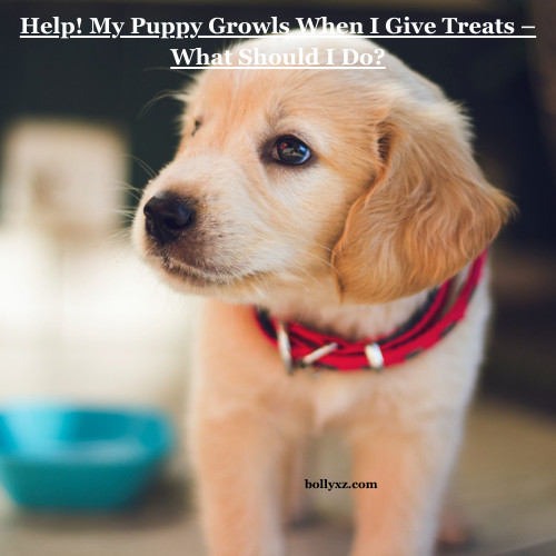 Help! My Puppy Growls When I Give Treats – What Should I Do?