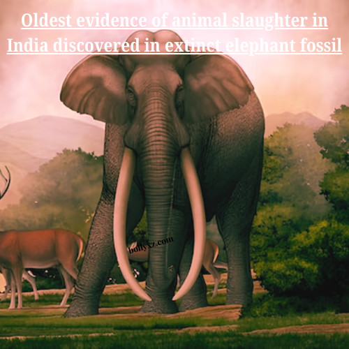 Oldest evidence of animal slaughter in India discovered in extinct elephant fossil