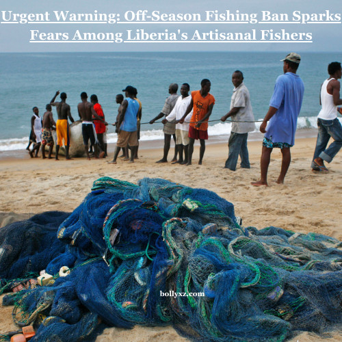 Urgent Warning: Off-Season Fishing Ban Sparks Fears Among Liberia's Artisanal Fishers