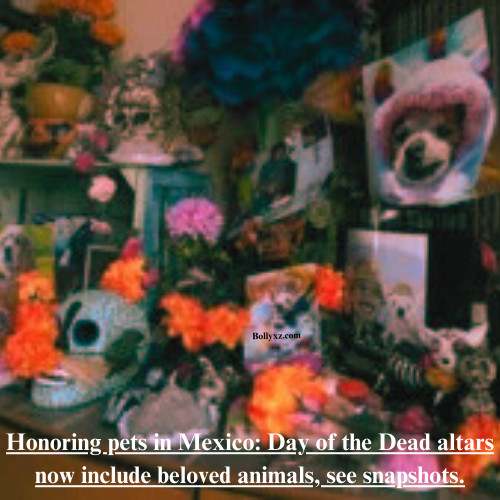 Honoring pets in Mexico: Day of the Dead altars now include beloved animals, see snapshots.