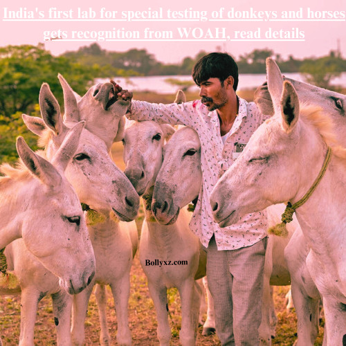 India's first lab for special testing of donkeys and horses gets recognition from WOAH, read details