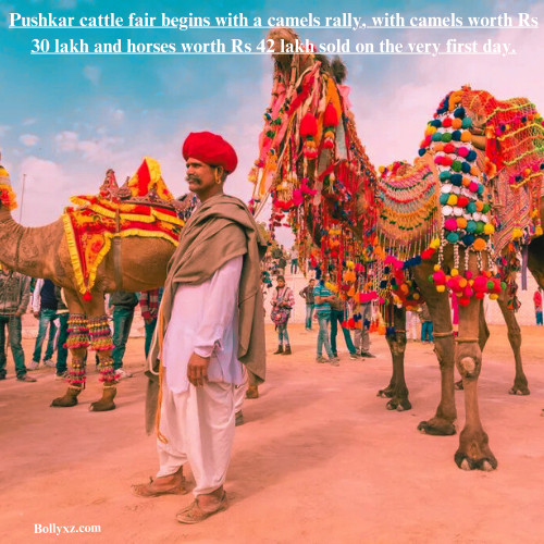 Pushkar cattle fair begins with a camels rally, with camels worth Rs 30 lakh and horses worth Rs 42 lakh sold on the very first day.