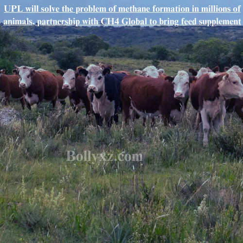 UPL will solve the problem of methane formation in millions of animals, partnership with CH4 Global to bring feed supplement